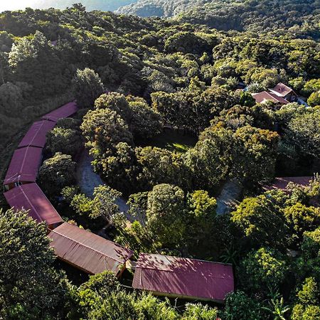 Villa El Bosque Lodging Monteverde Exterior foto